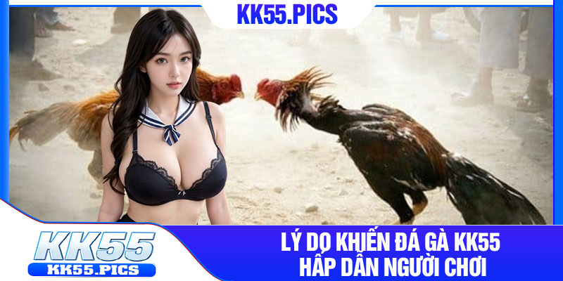 Lý do khiến đá gà KK55 hấp dẫn người chơi