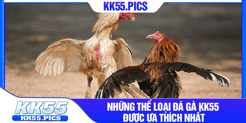 Những thể loại đá gà KK55 được ưa thích nhất